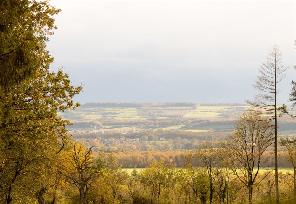 Nature environnante du gîte